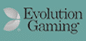 Evolution Gaming logo