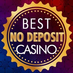 No Deposit Casino logo