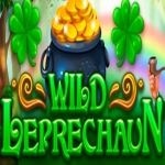 Wild Leprechaun logo